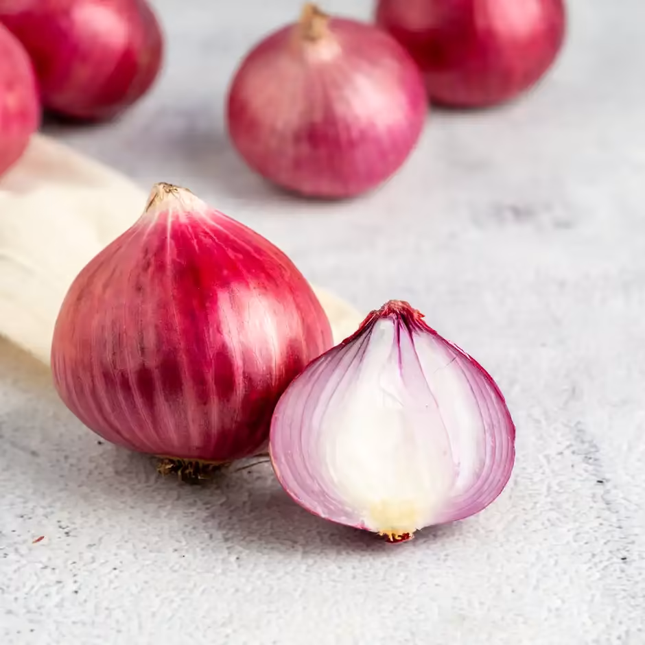 Onion