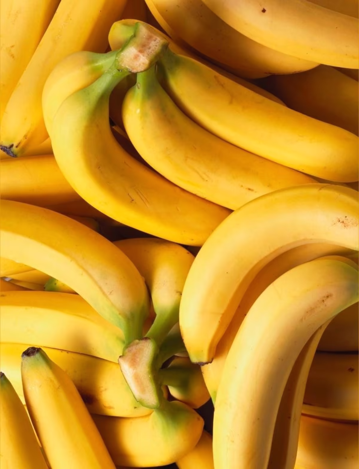 Banana Robusta