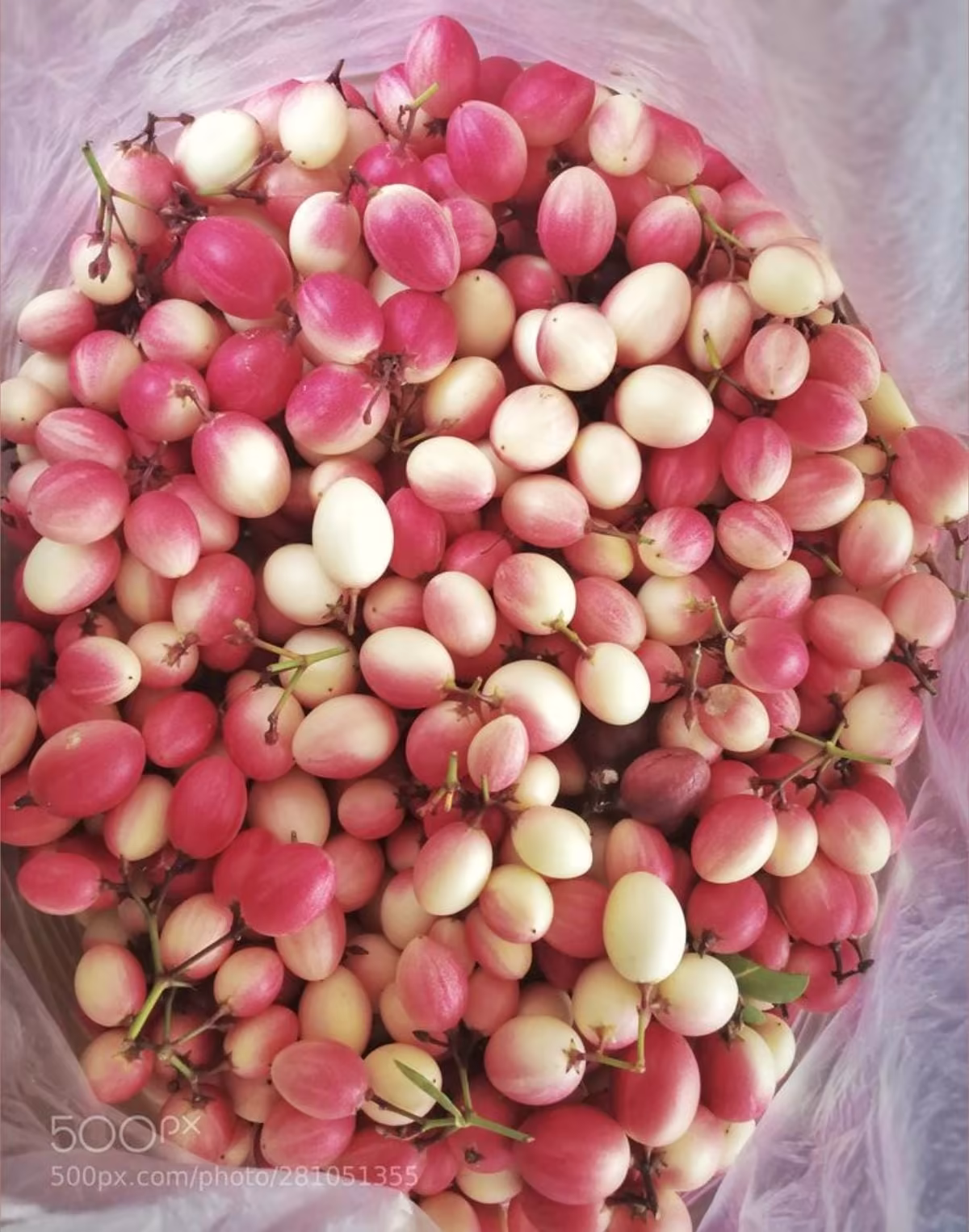 Vaakayalu