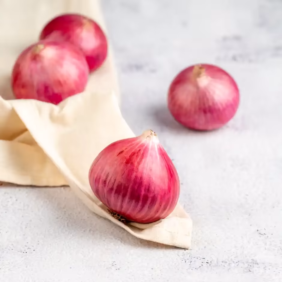 Onion