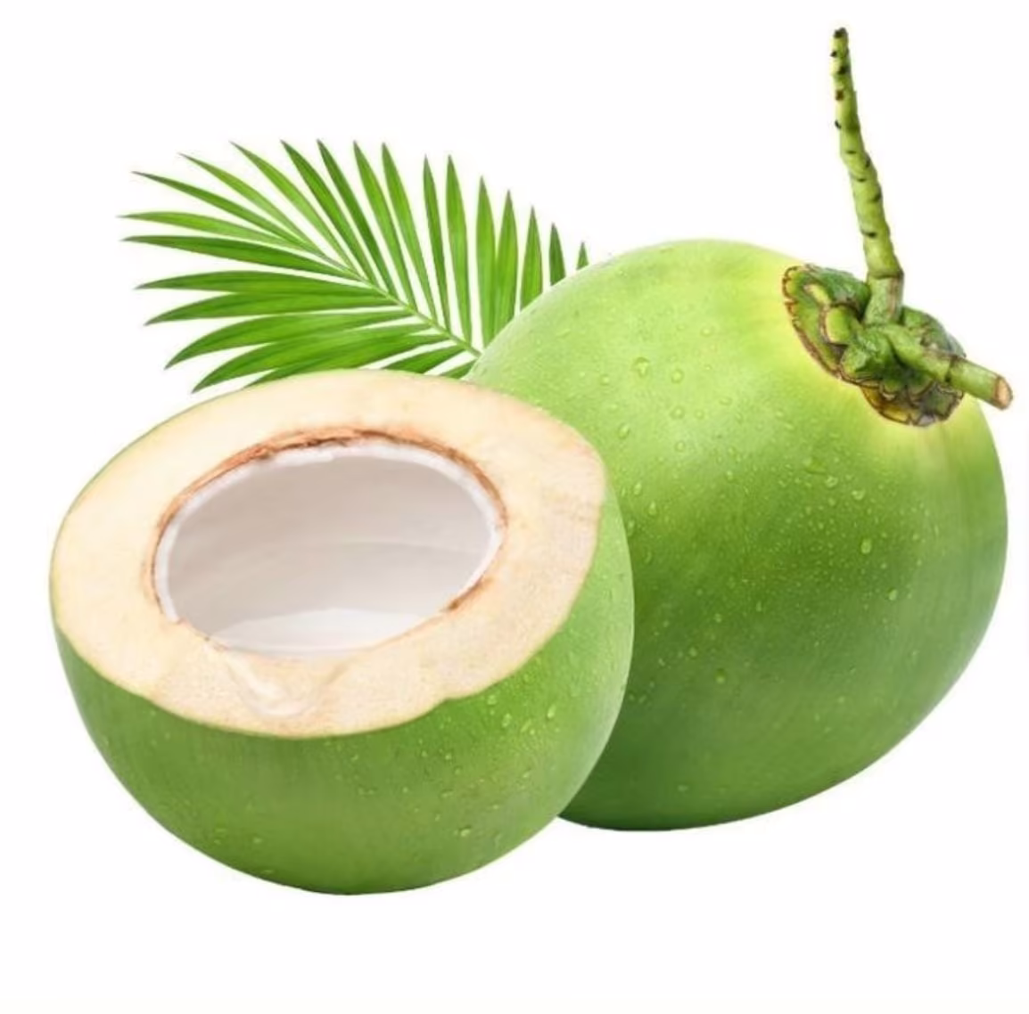 Tender Coconut