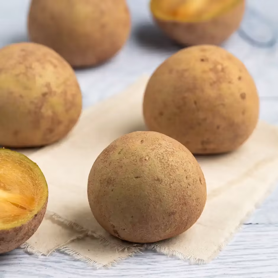 Sapota